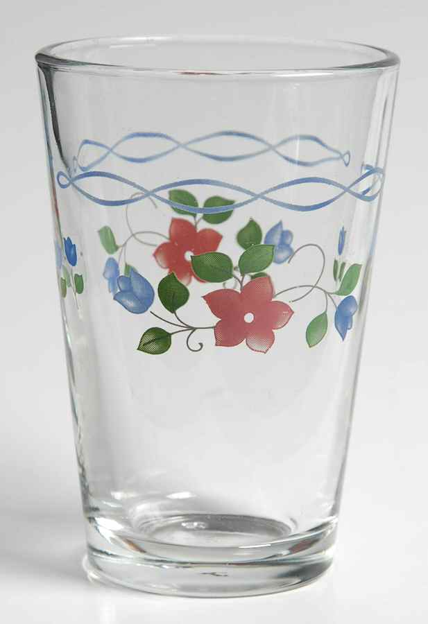 Bonnie Brae 8 Oz Glassware Tumbler by Pfaltzgraff-1