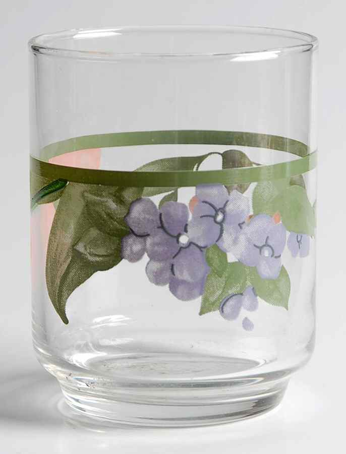 Garden Party (Garden Impressions) 4 Oz Glassware Juice by Pfaltzgraff-1