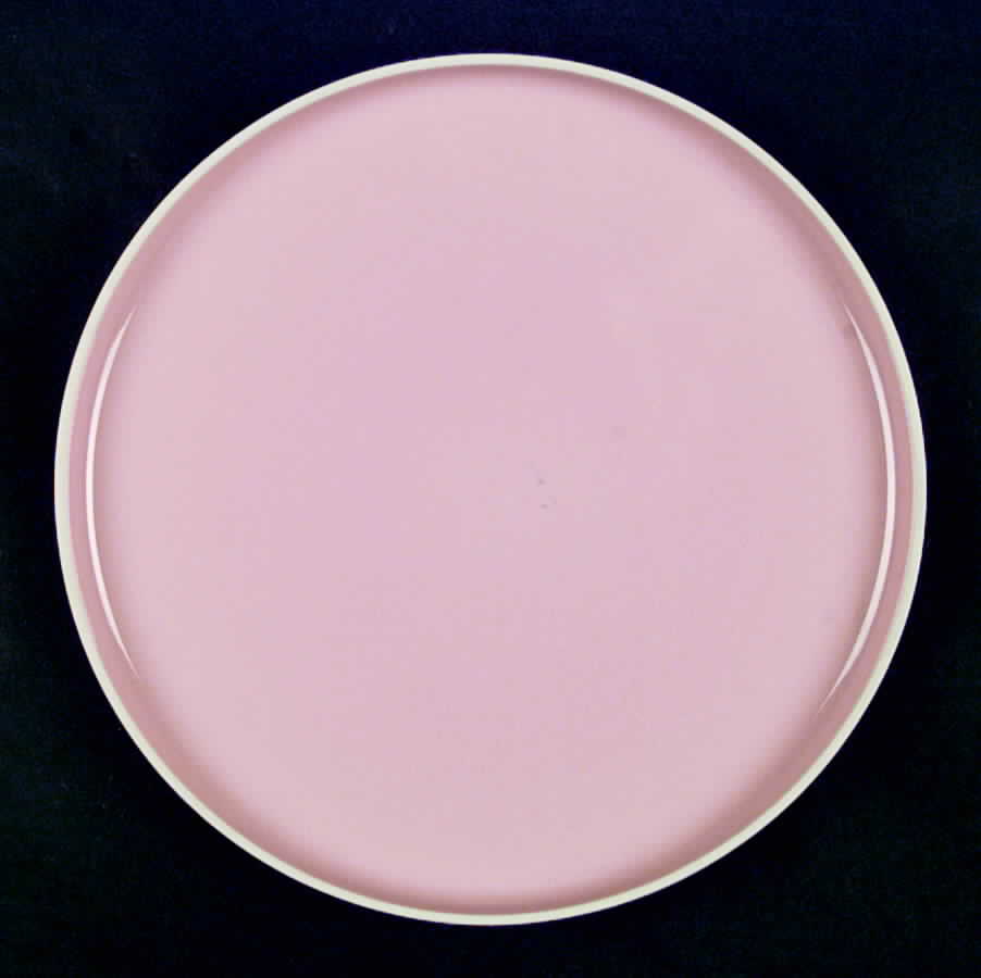 Radius Coral Dinner Plate by Prisma-1