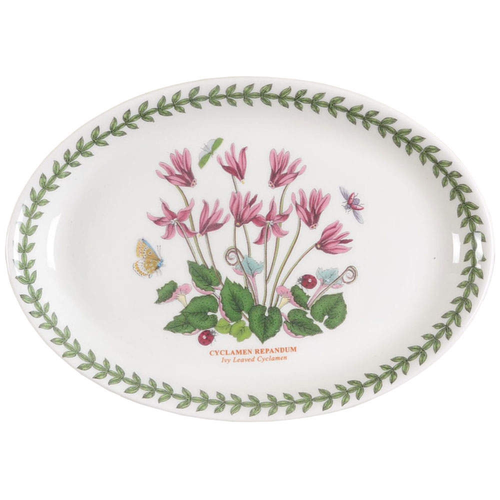 Botanic Garden 9" Oval Steak Platter by Portmeirion-1