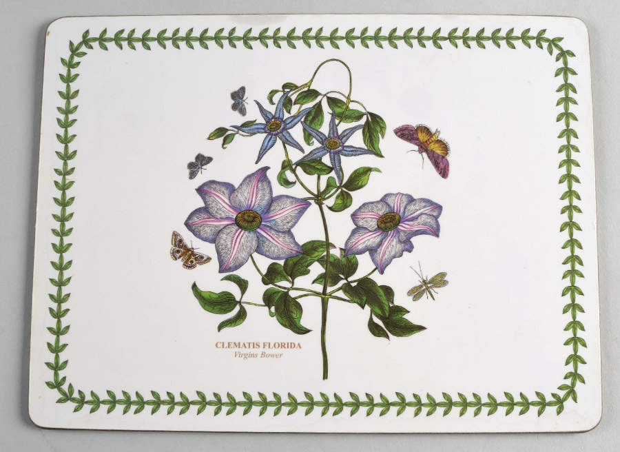 Botanic Garden Small Corkboard Placemat by Portmeirion-1