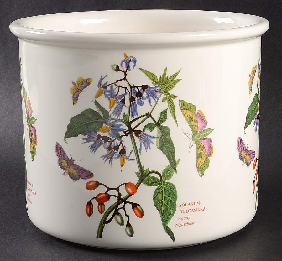Botanic Garden 6" Planter Pot by Portmeirion-1