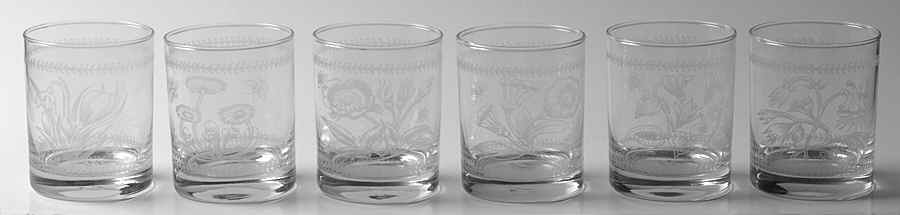 Botanic Garden (Set of 6 Motifs) 8 Oz Glassware Etch Tumblers by Portmeirion-1