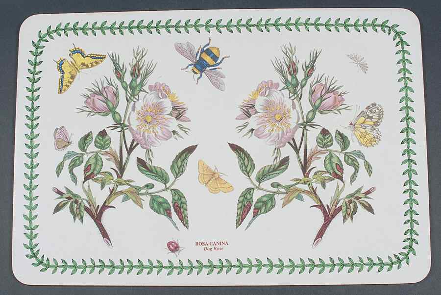 Botanic Garden 17" Large Corkboard Placemat by Portmeirion-1