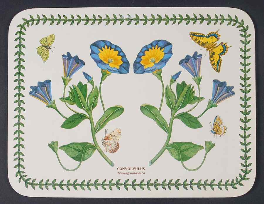 Botanic Garden 10" Rectangular Corkboard Placemat by Portmeirion-1