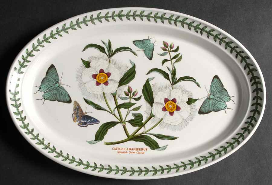 Botanic Garden 11" Oval Steak Platter by Portmeirion-1