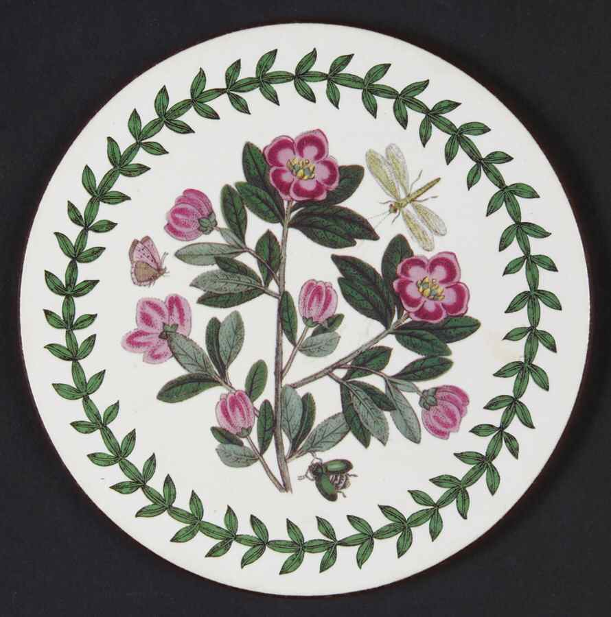 Botanic Garden Round Coaster Cork Back W/Thick Laurel Border by Portmeirion-1