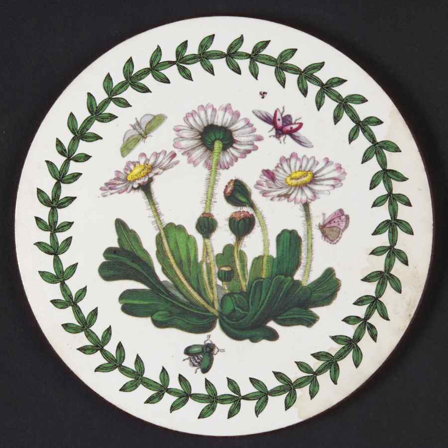 Botanic Garden Round Coaster Cork Back W/Thick Laurel Border by Portmeirion-1