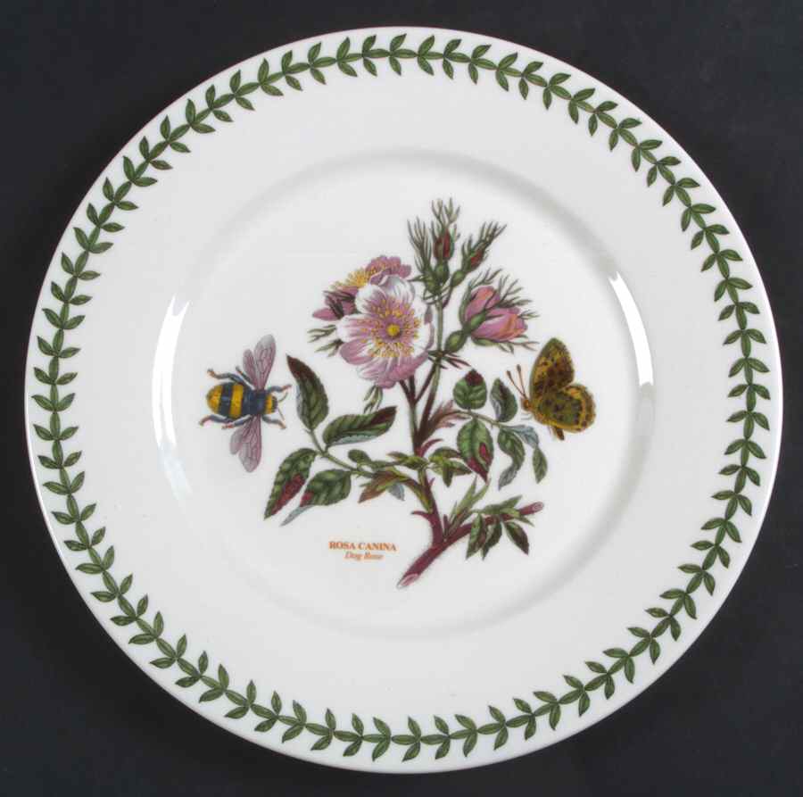 Botanic Garden Flat Dinner Plate with Large Rim by Portmeirion-1