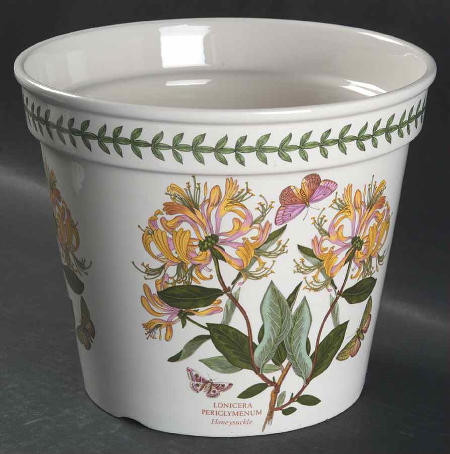 Botanic Garden 6" Flower Pot by Portmeirion-1