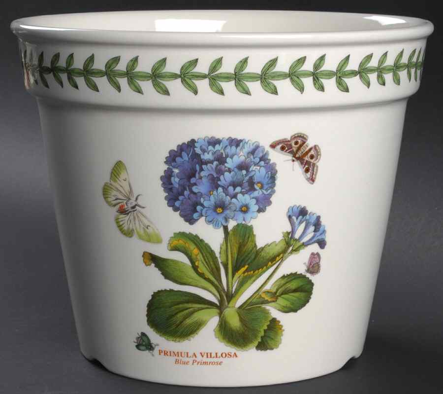Botanic Garden 6" Flower Pot by Portmeirion-1