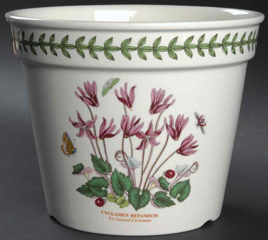 Botanic Garden 6" Flower Pot by Portmeirion-1
