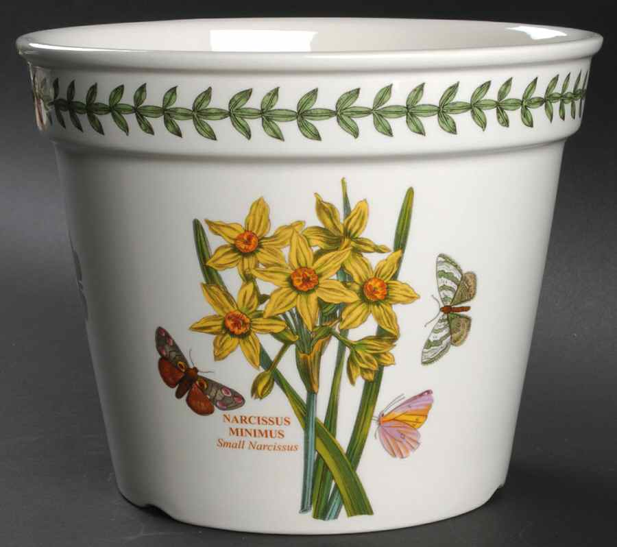 Botanic Garden 6" Flower Pot by Portmeirion-1