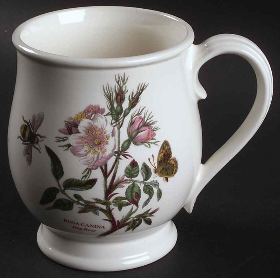 Botanic Garden Bristol Mug by Portmeirion-1