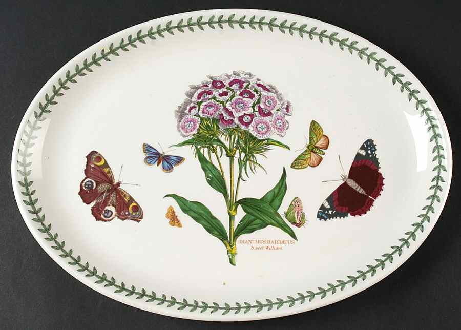 Botanic Garden 13" Oval Steak Platter by Portmeirion-1