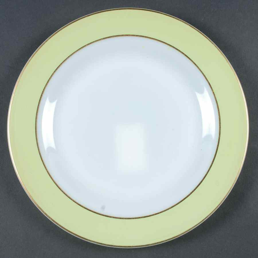 PYR4 Dinner Plate by Pyrex-1