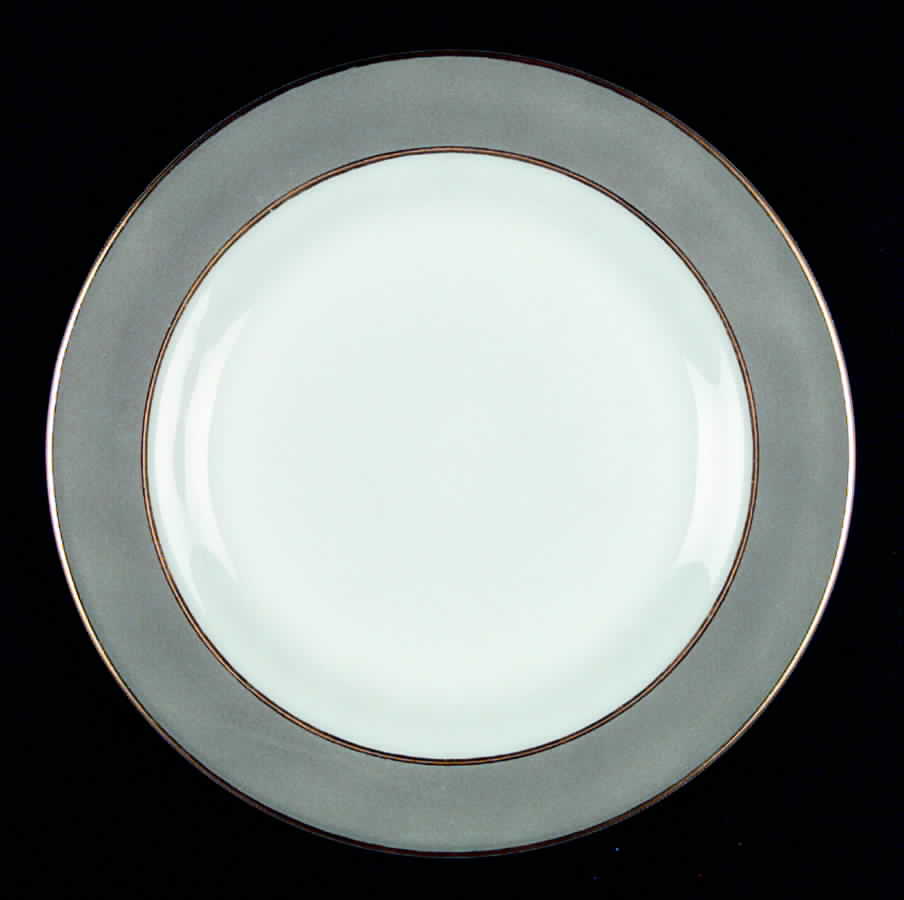 PYR9 Dinner Plate by Pyrex-1