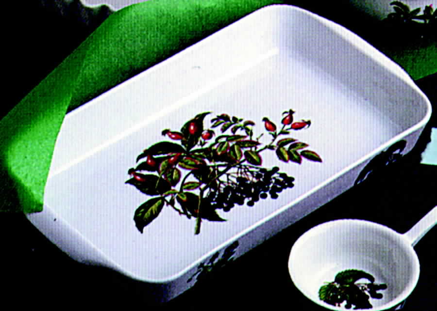 Les Fruits Sauvages Large Rectangular Baker by Porcelaine De Paris-1