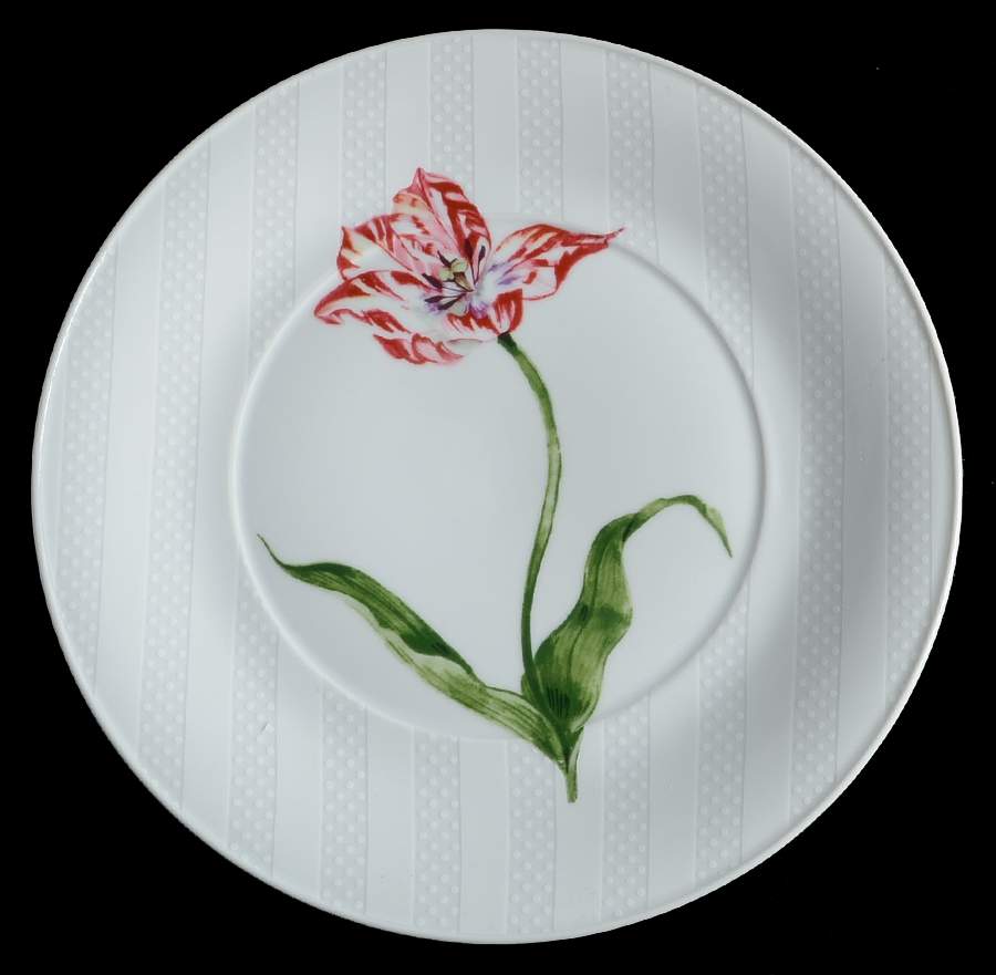 Jardim Salad Plate by Porta-1