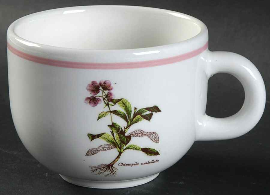 PRL8 Flat Cup by Primula-1