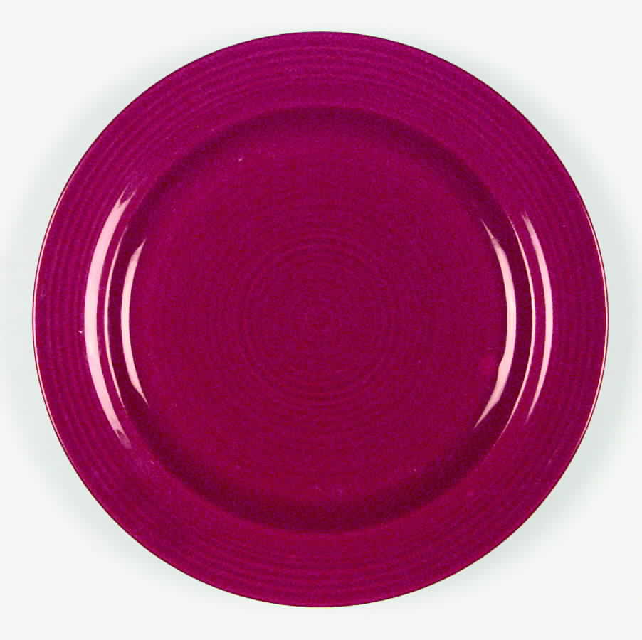 Festival Mauve Dinner Plate by Pier 1-1