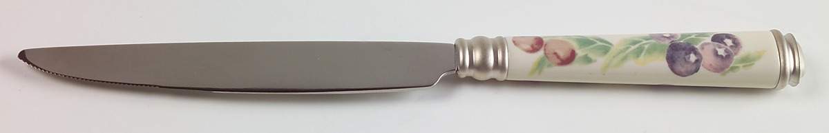 Jamberry Small Dinner Knife by Pfaltzgraff-1
