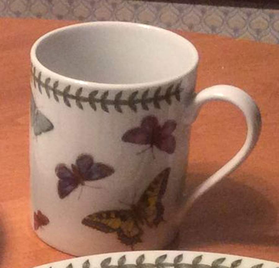 Botanic Garden Butterflies Mug by Portmeirion-1