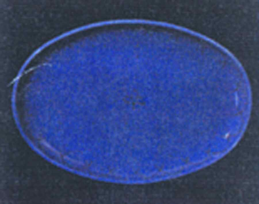 Etchings Indigo 18" Oval Serving Platter by Presenttense-1