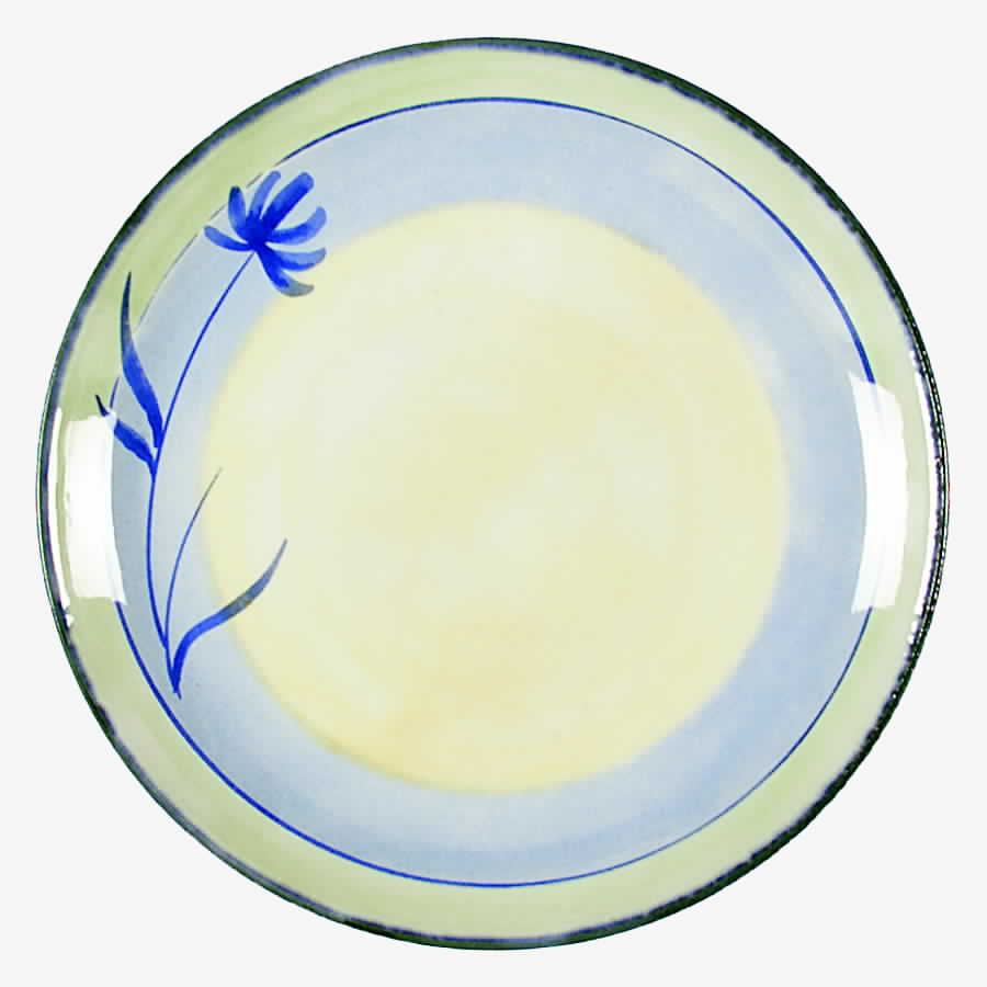 Tranquility Salad Plate by Pier 1-1