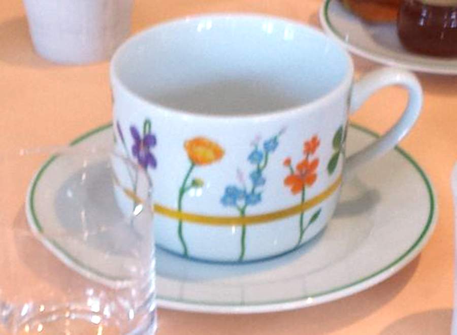 Farandole Flat Cup & Saucer Set by Pillivuyt-1