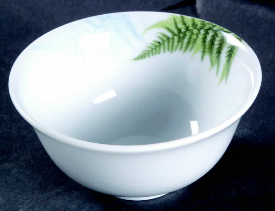 Ferns Rice Bowl by Patra-1