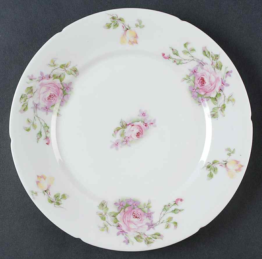 PFE23 Dinner Plate by Pfeiffer & Lowenstein-1
