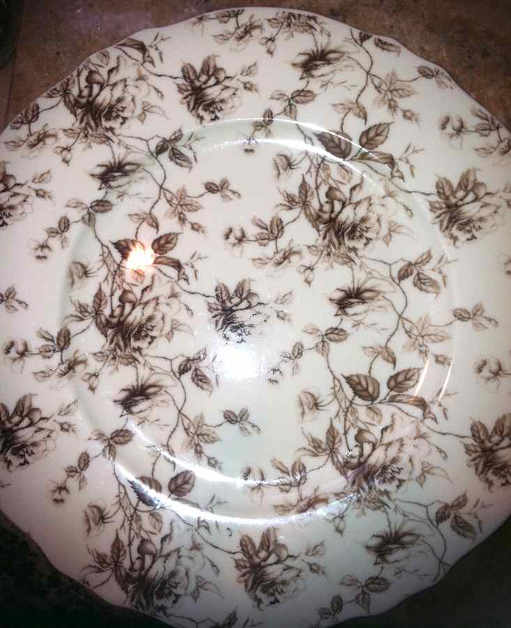 Brown Toile Dinner Plate by Peppertree Imports-1