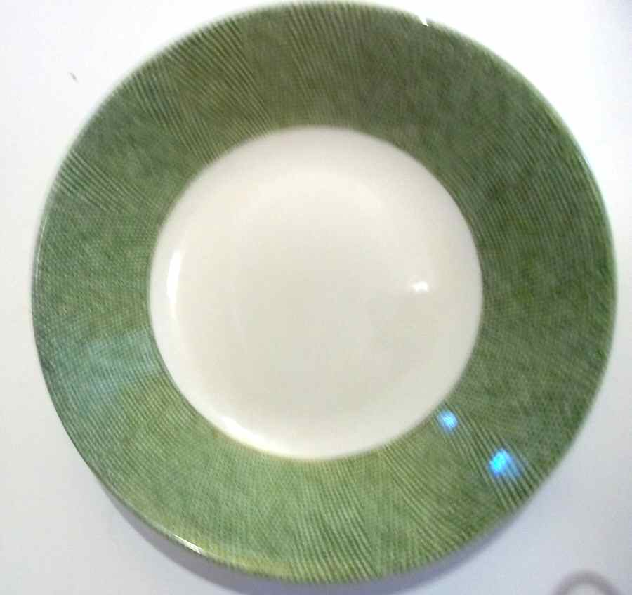 Textured Bands Green Dinner Plate by Pier 1-1