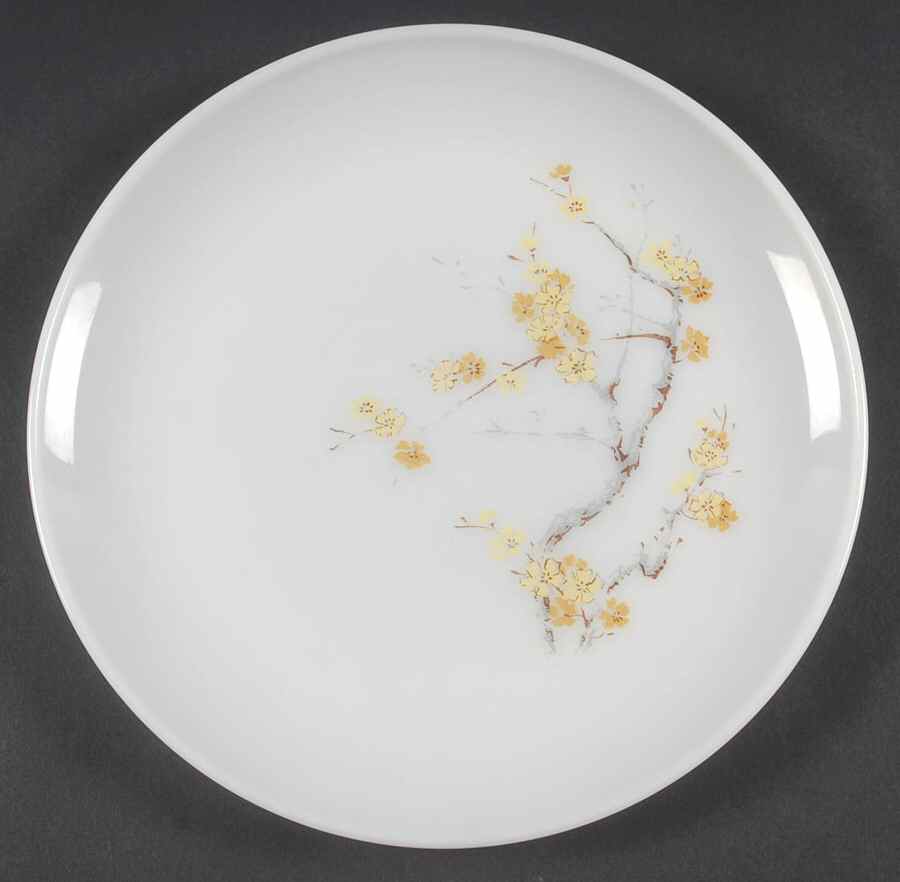 PYR41 Dinner Plate by Pyrex-1