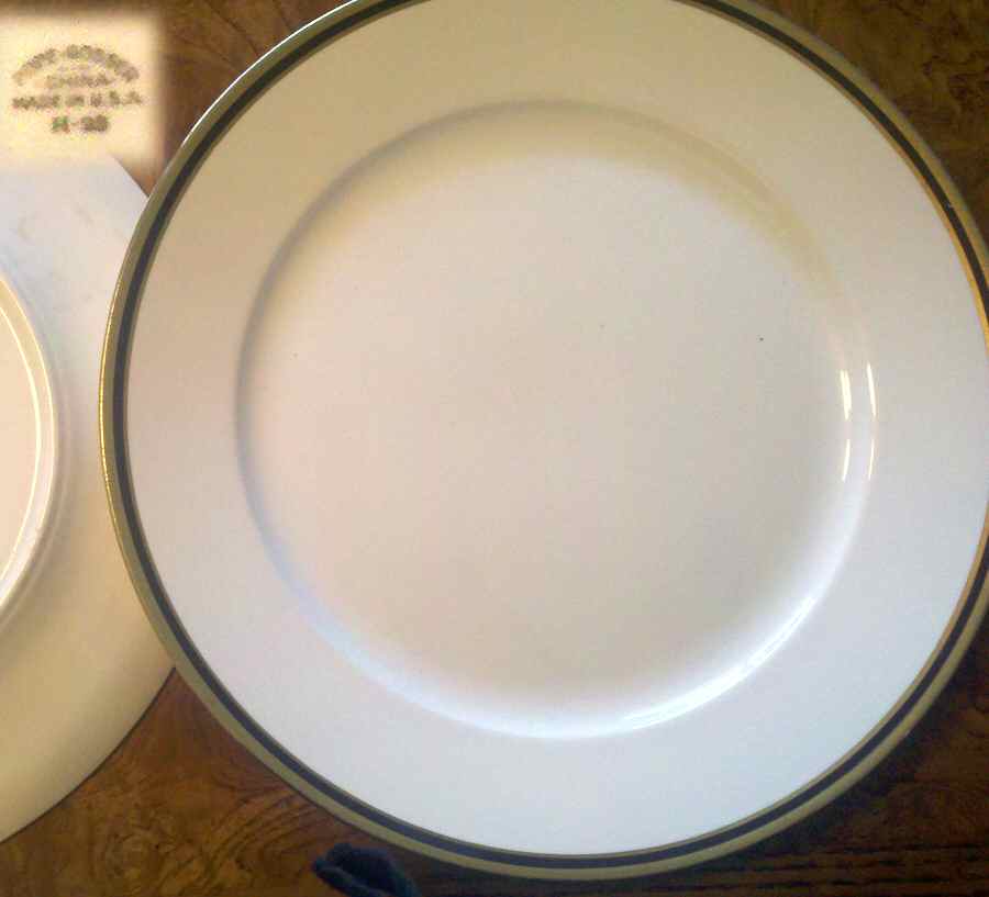 POP306 Dinner Plate by Pope Gosser-1