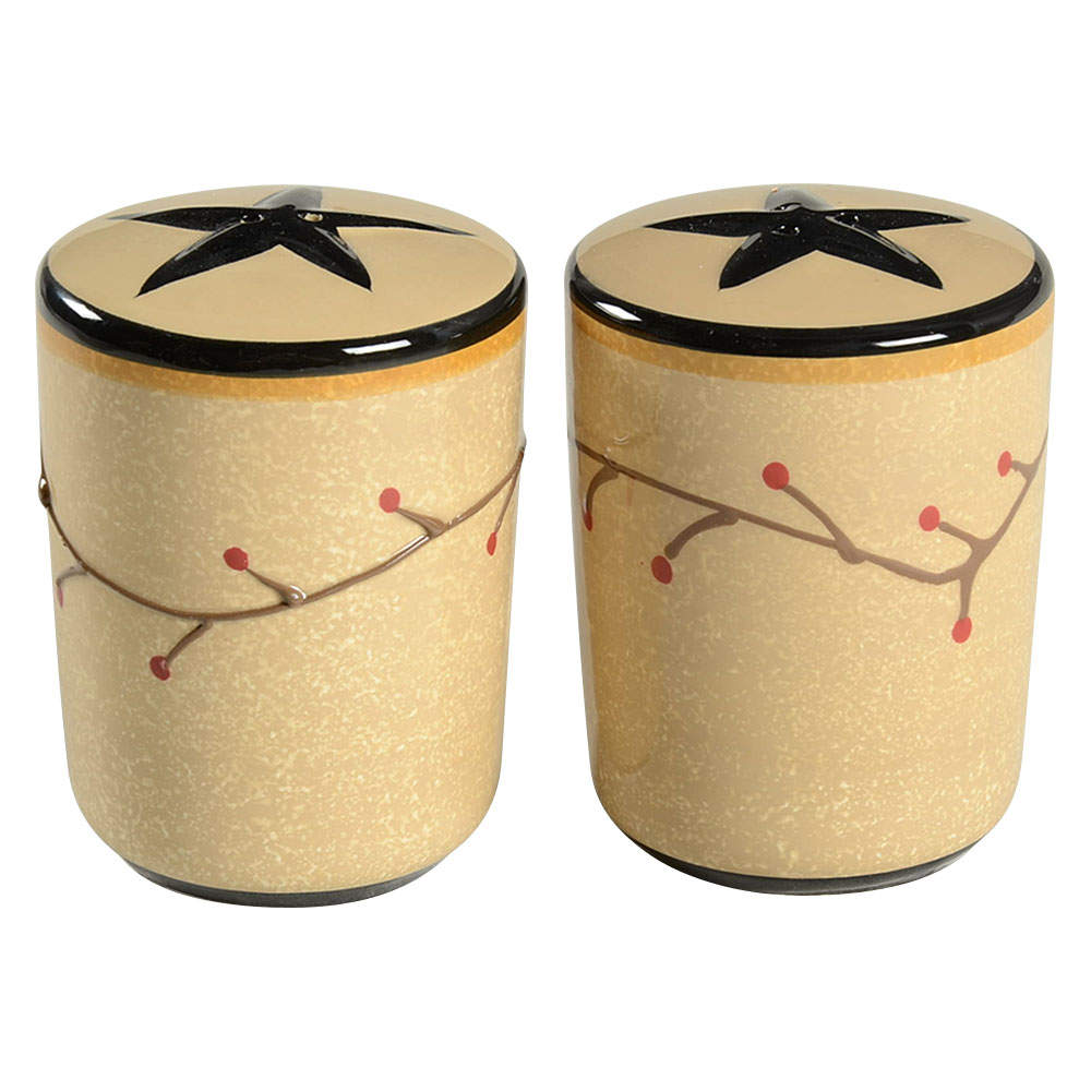 Star Vine Salt & Pepper Set by Park Designs-1