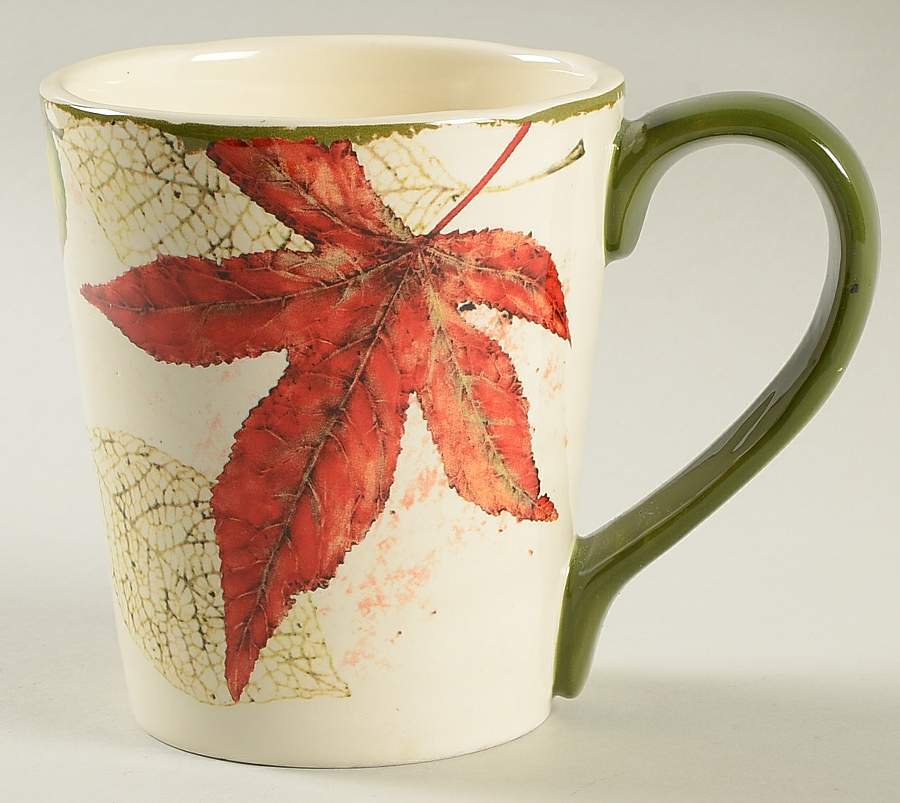 Asheville Mug by Pier 1-1