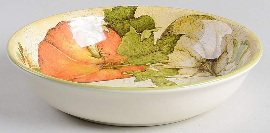 Harvest Garden Soup/Cereal Bowl by Pier 1-1