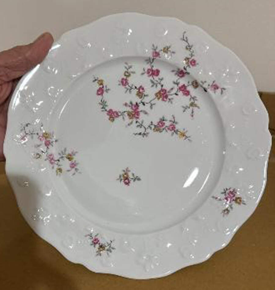 PFN3 Dinner Plate by Porcelaine Francaise-1