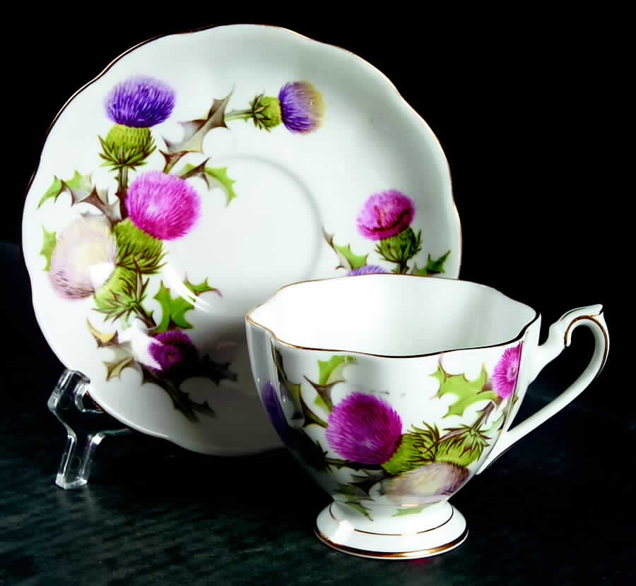 Dundee Thistle Footed Cup & Saucer Set by Queen Anne (England)-1