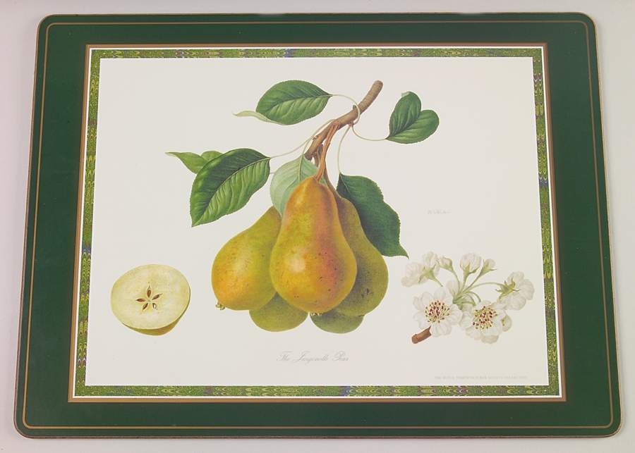 Hooker's Fruit (Bone, Made In England) Corkboard Placemat by Rosina-Queens-1