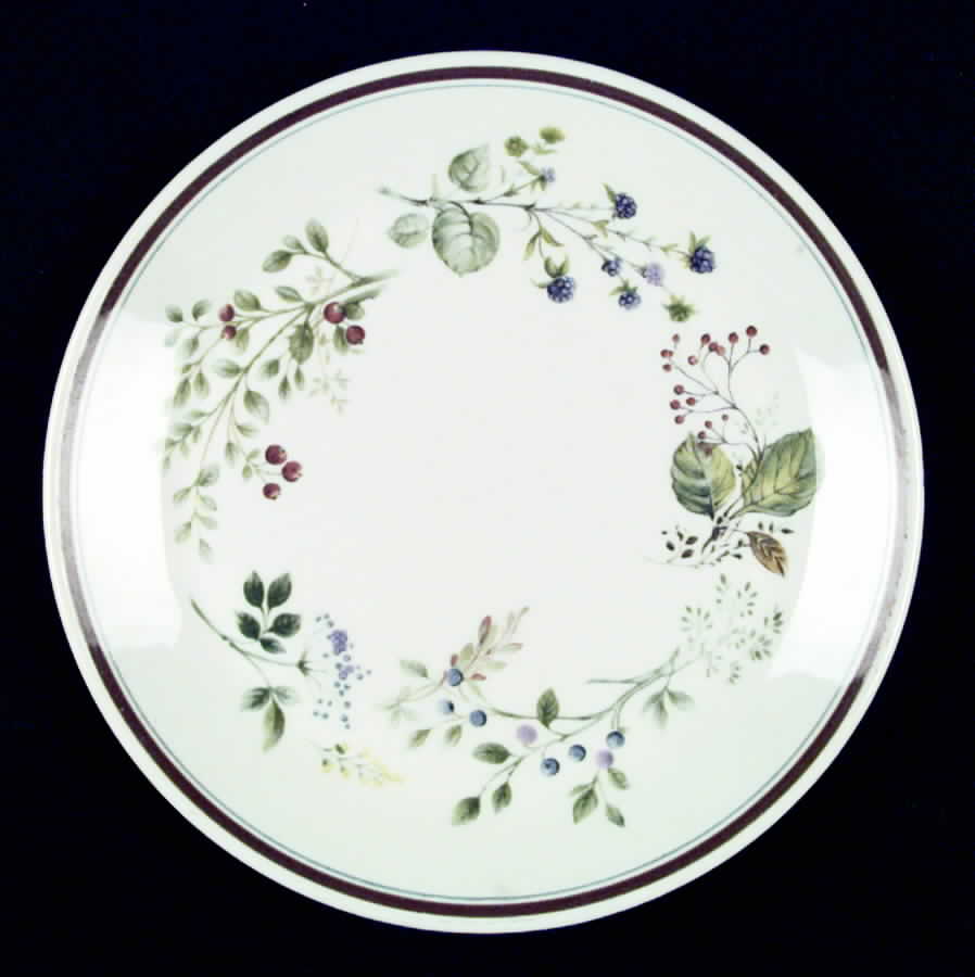 Bitter Sweet Dinner Plate by Royal Albert-1