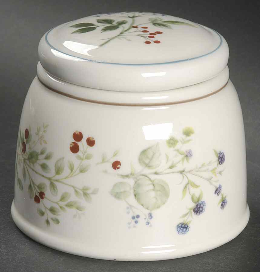 Bitter Sweet Sugar Bowl & Lid by Royal Albert-1