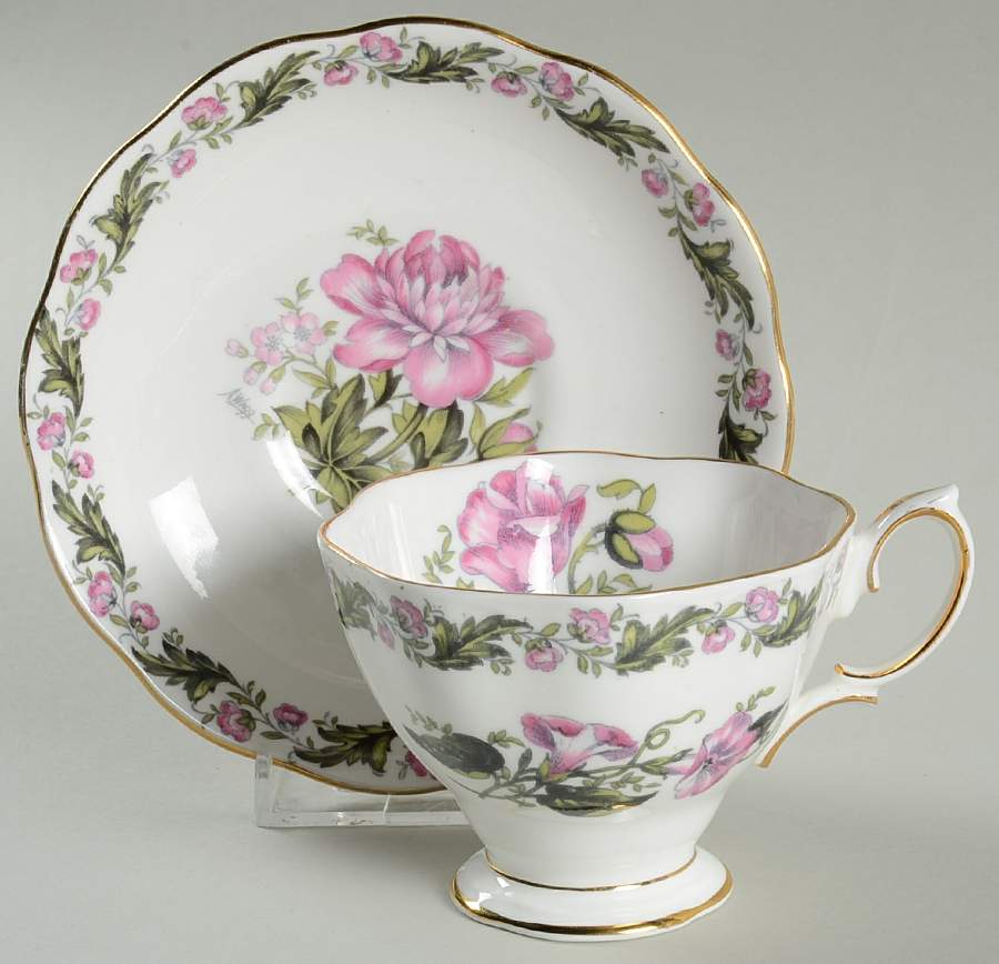 Cotswold Footed Cup & Saucer Set by Royal Albert-1