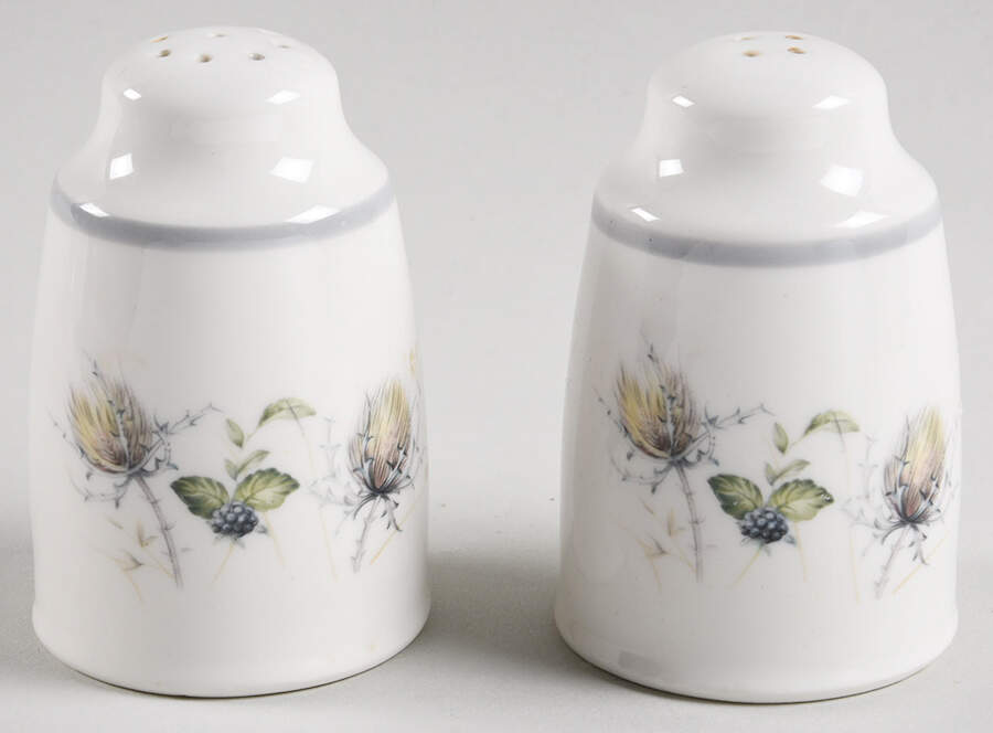 Wild Briar Salt & Pepper Set by Royal Albert-1