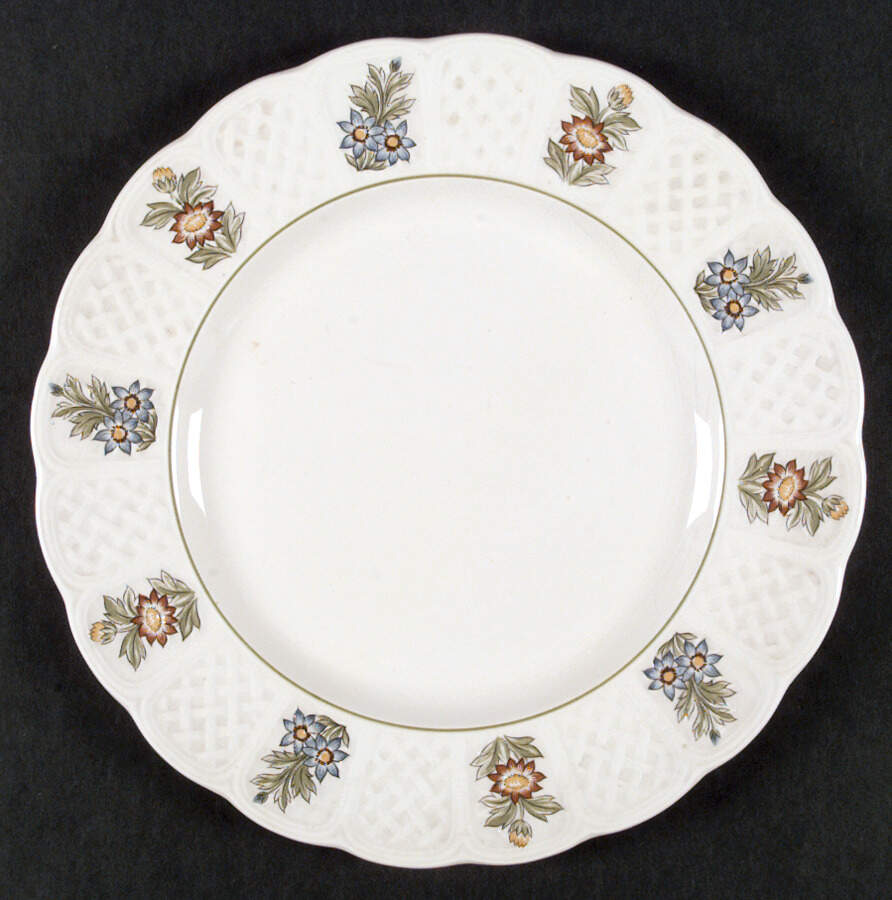 June Garden Dinner Plate by Royal Cauldon-1