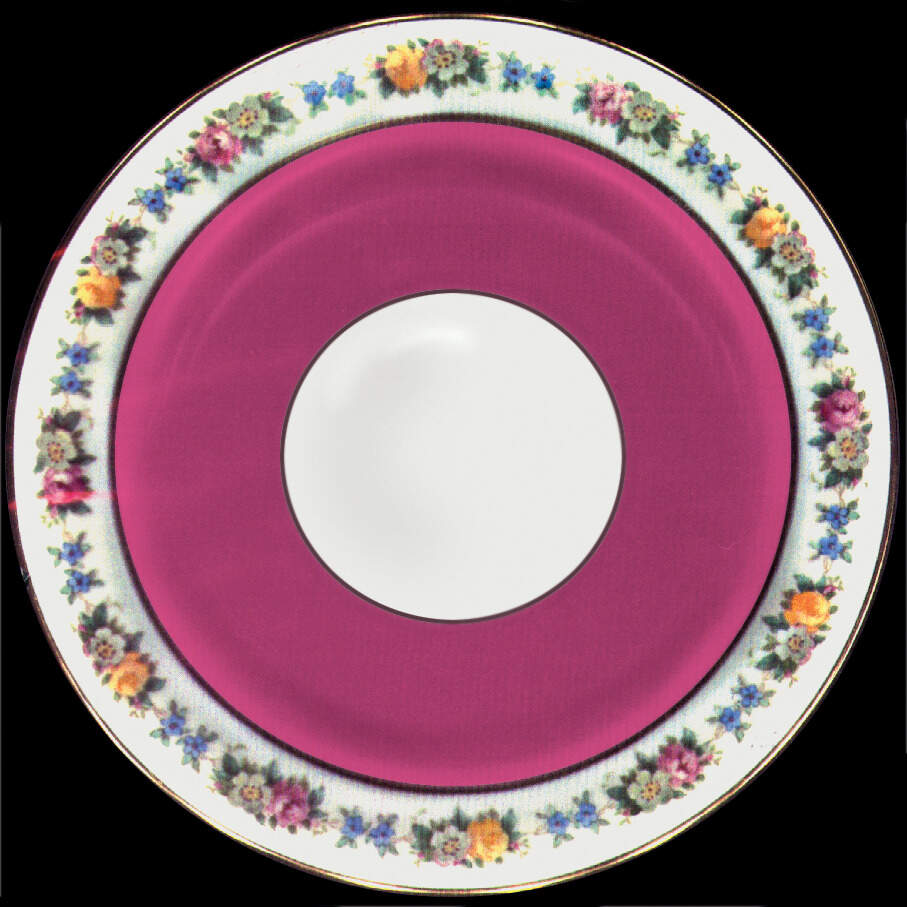 T1562 Luncheon Plate by Royal Cauldon-1