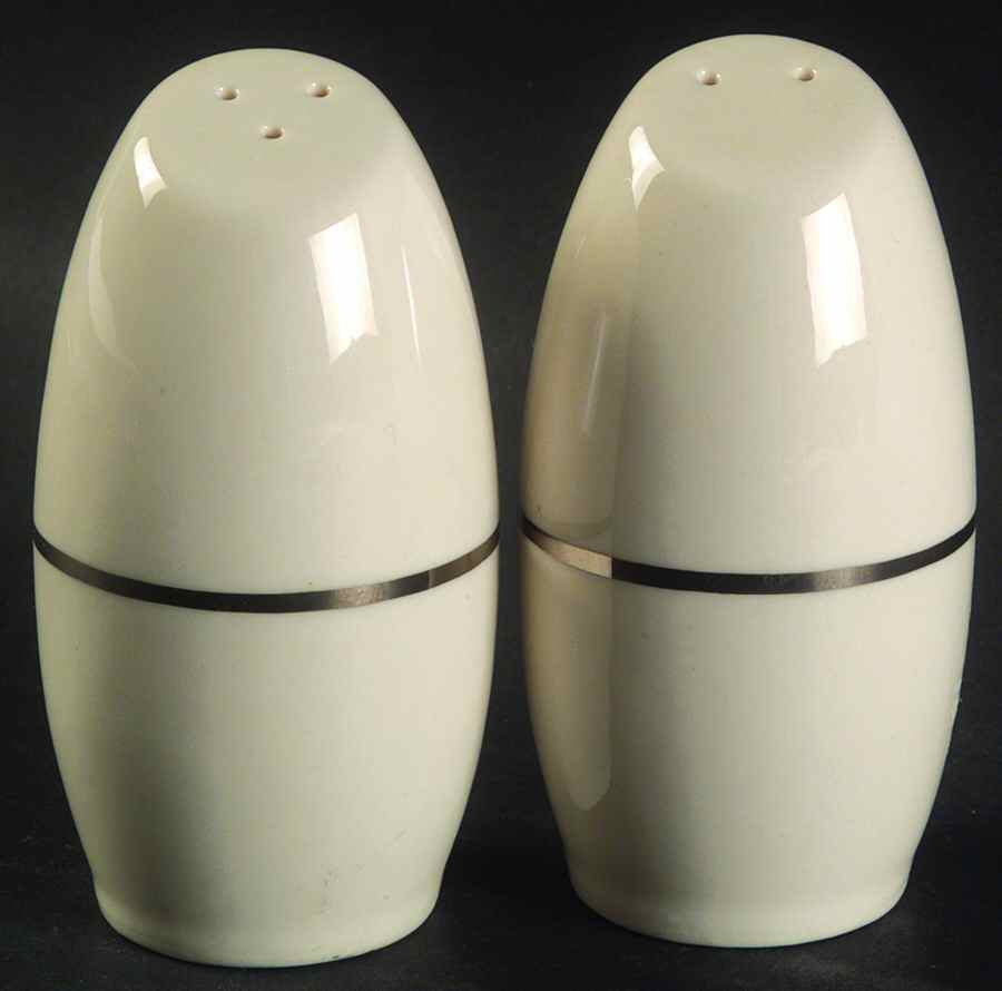 Simplicity Platinum Salt & Pepper Set by Royal Devon-1