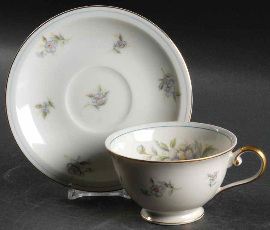 Virginia Footed Cup & Saucer Set by Royal Embassy-1